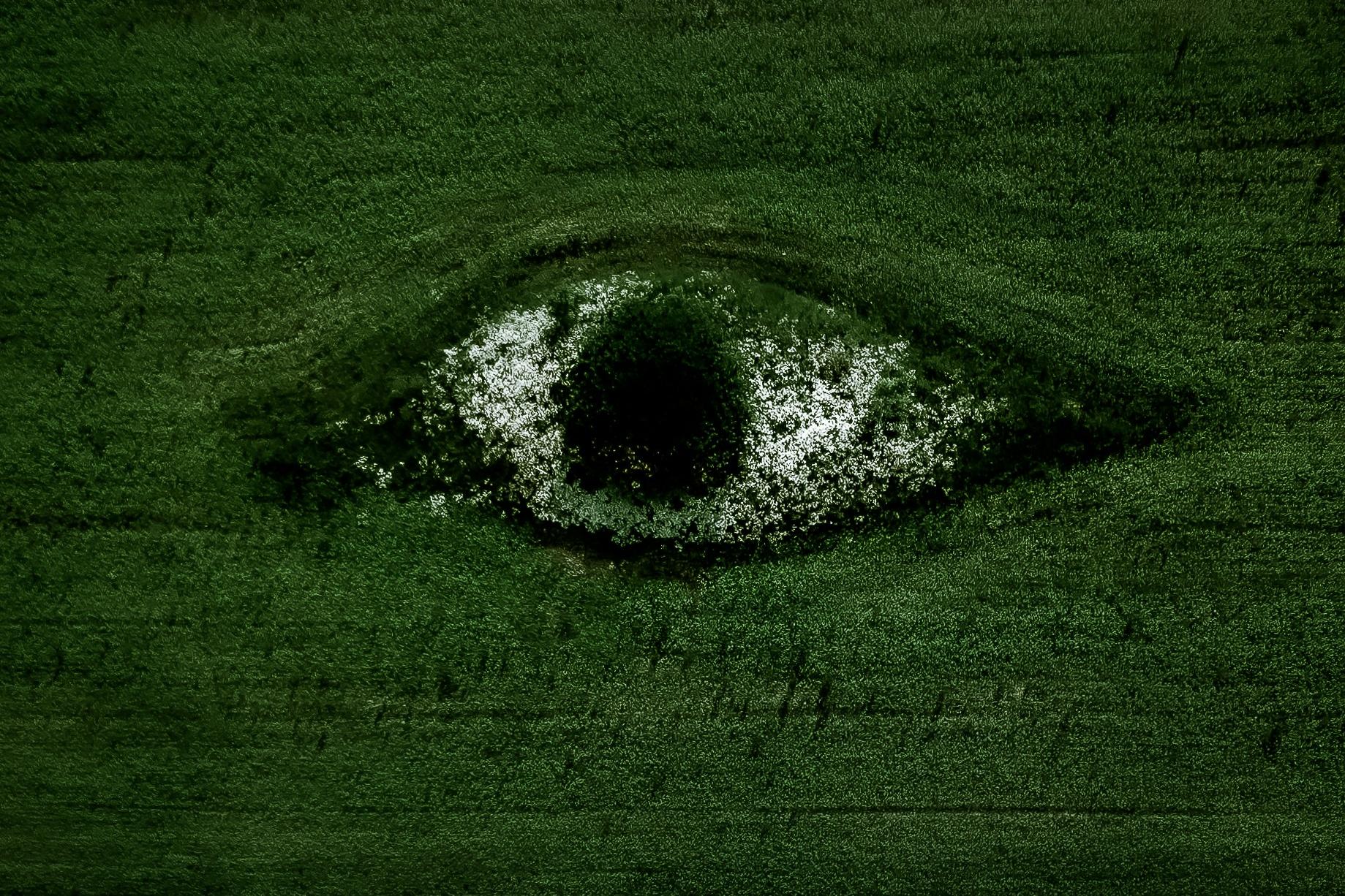 聚苯乙烯废弃物回收:从污染到循环解决方案,EPS压实机